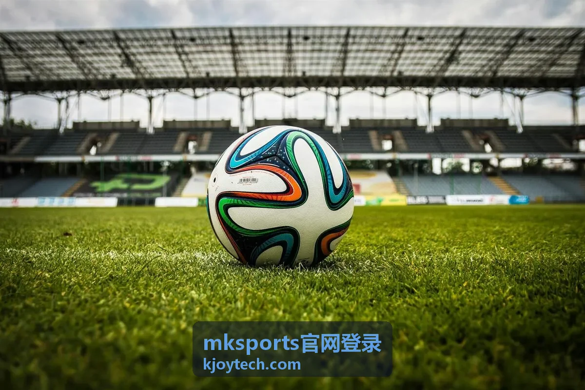 mksports官网登录安全与服务支持页面内容结构示意